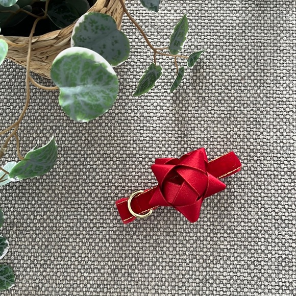 petco Dog Petco Holiday Dogcat Collar In Red Velvet With Gold Trim